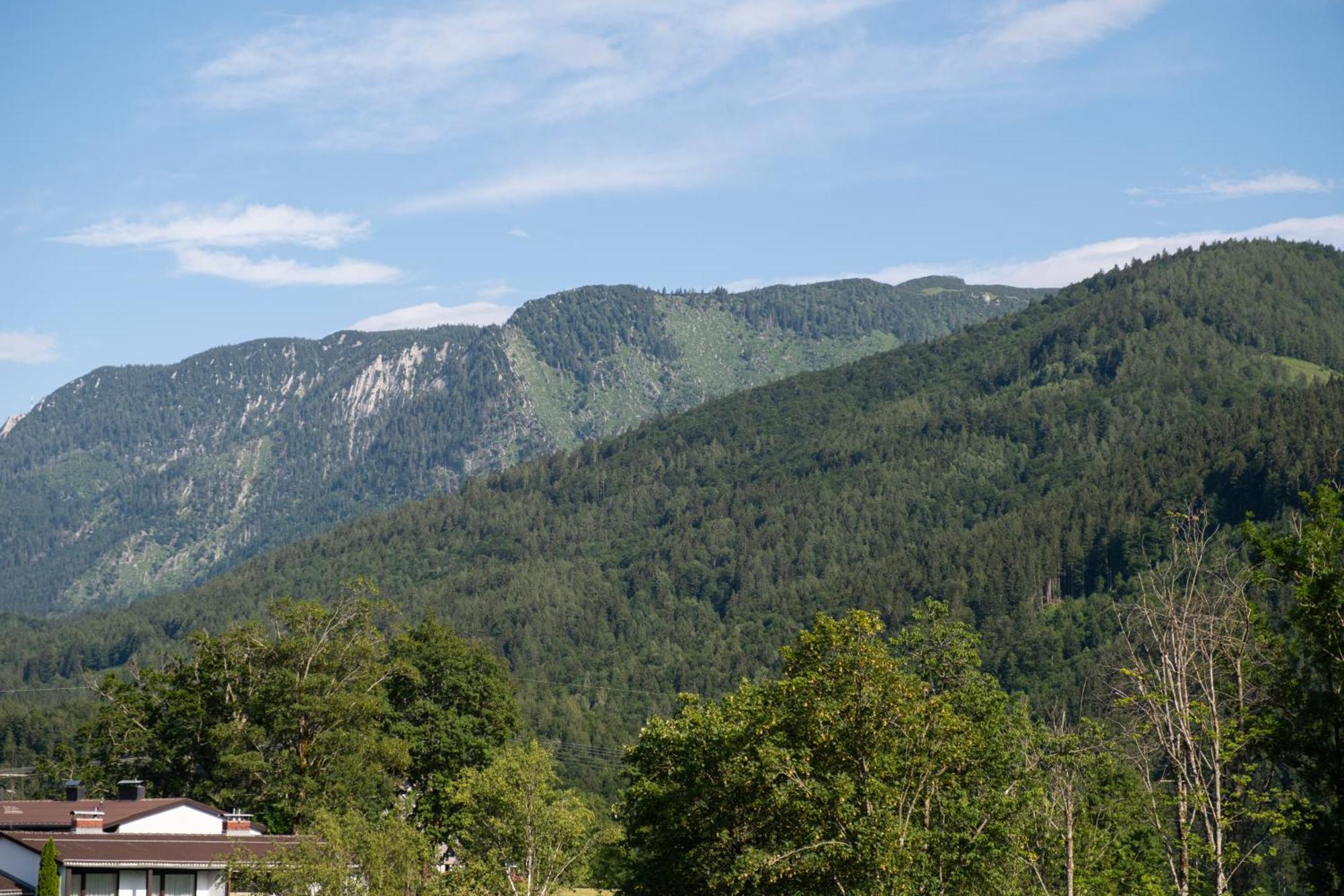 Suite Apartment Modern Getaway - Neu Renoviert - Strobl Am Wolfgangsee Exterior foto